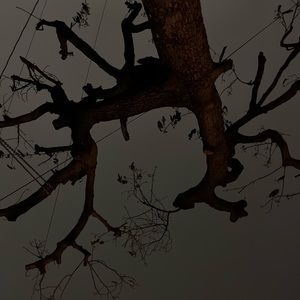 Meet your Posher, Jaime